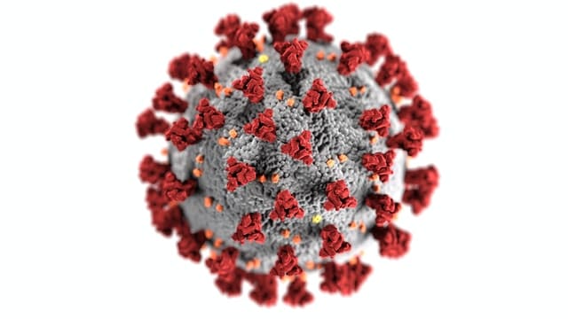 A picture of Coronavirus signifying that viruses are the causes of infections in your household.